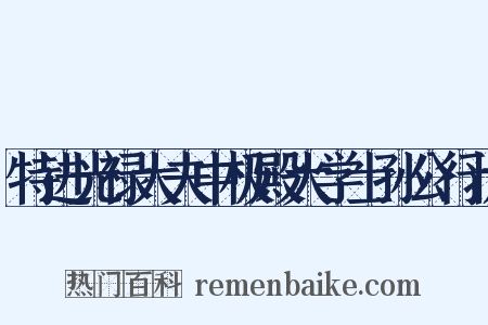 特进光禄大夫中极殿大学士孙公行状是什么意思的图片